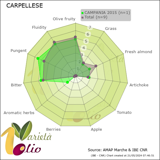 Profilo sensoriale medio della cultivar  CAMPANIA 2015
